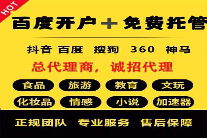 SEM广告创意与执行：成功案例分享